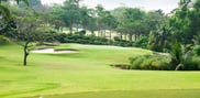 View from the 8th tee towards a green bordered by bunkers and mature trees.