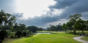 Marked teeing ground facing water and fairway, with palms on the left and a cart path on the right.
