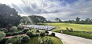 Rows of golf carts beside a broad lawn, trimmed shrubs and a paved path at Pattaya Country Club.