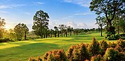 Teeing area overlooking a gently sloping fairway lined with palms and mature trees at Pattaya Country Club.