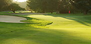 Putting green with a red flag, two sand bunkers on the left and tall trees behind at Pattaya Country Club.